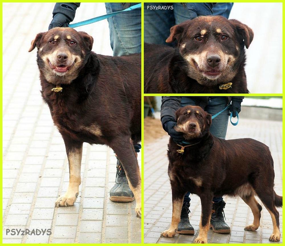 zocha.thumb.jpg.2372847e2a3cbb53de146a89