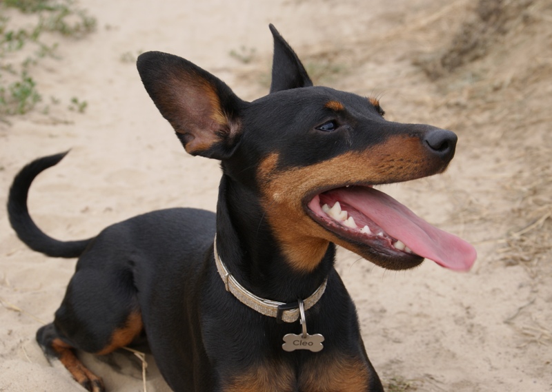 093.JPG.e72bb88f8d3429dc47abed04ab30ca8e