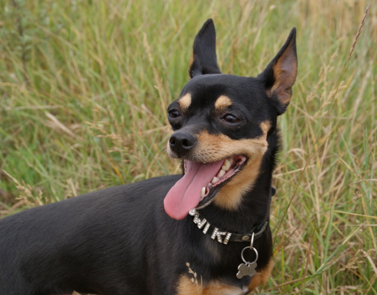 094.JPG.9c089e91f1c739a94104dc4b94b23850