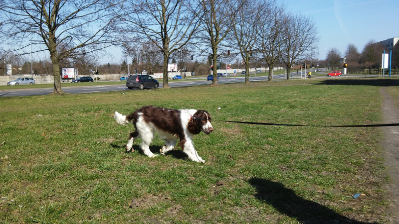 20160327_122016.jpg.dc4e74944dee839290ed