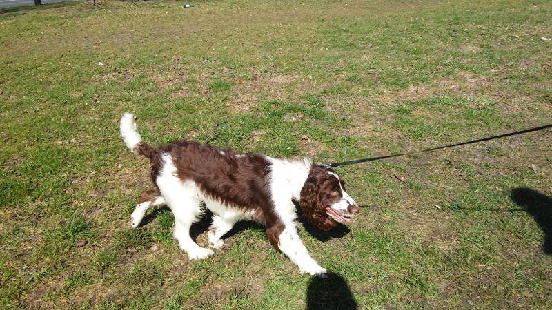 20160327_122050.jpg.ca1eb08a34f8d27254ff