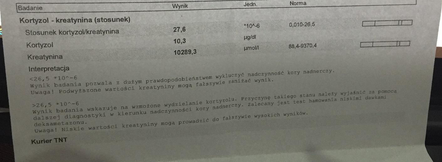 IMG_3660 — kopia.JPG