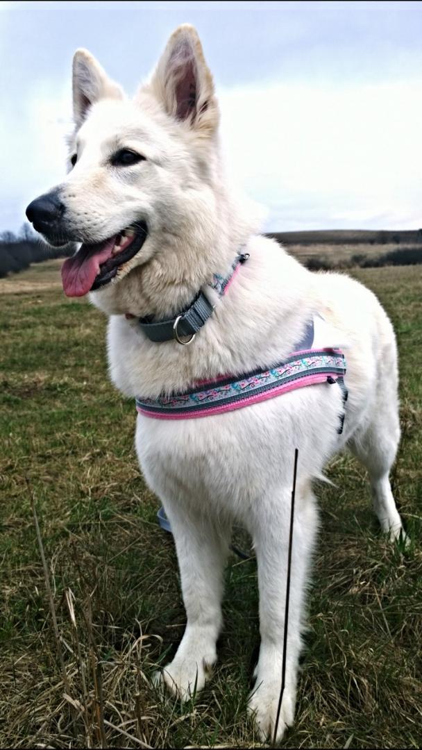 WP_20160321_15_16_33_Pro (2).jpg