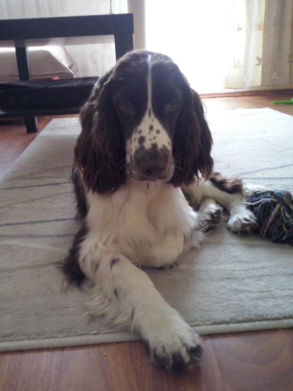 CAM00184a.thumb.jpg.cd3105fee7fab3b506ae