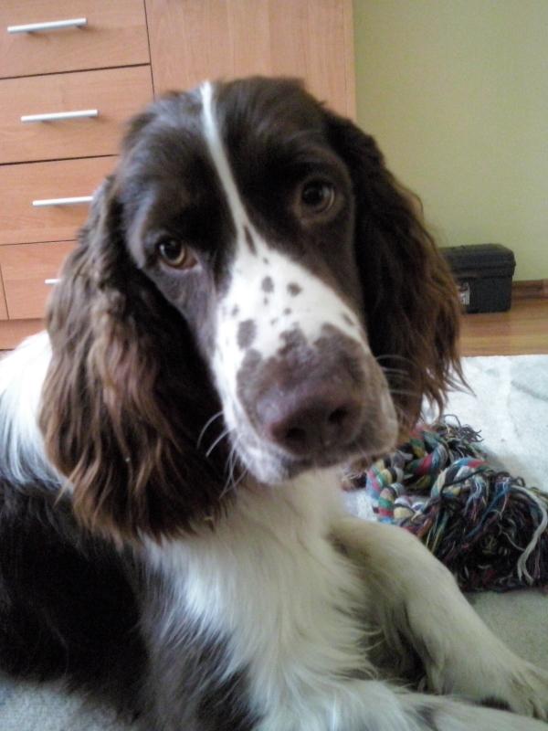 CAM00197a.thumb.jpg.4bf313c584b2add5a84a