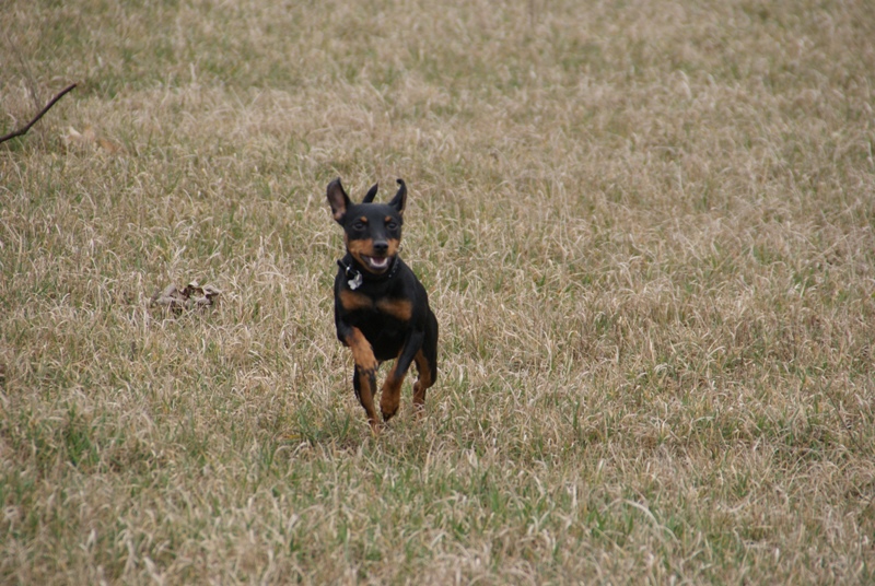 DSC08573.JPG.6d21d4dc4ff9a32af75b625d04e