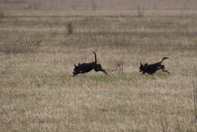 DSC08583.JPG.6d2475e6958114d905f5ab6d07c