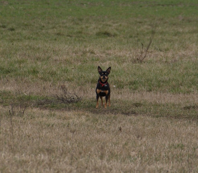 DSC08593.JPG.e66178a20f20e0d6a477496e540