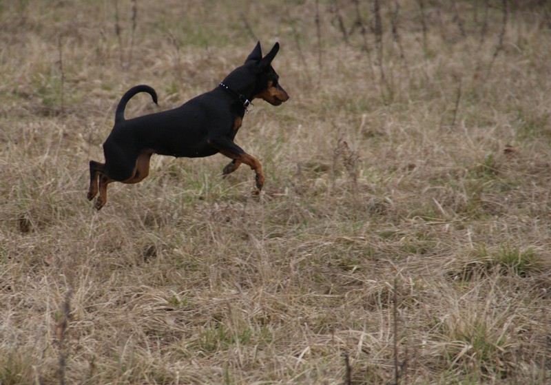 DSC08599.JPG.0850a4a5afe1f82daa530fc4d0f