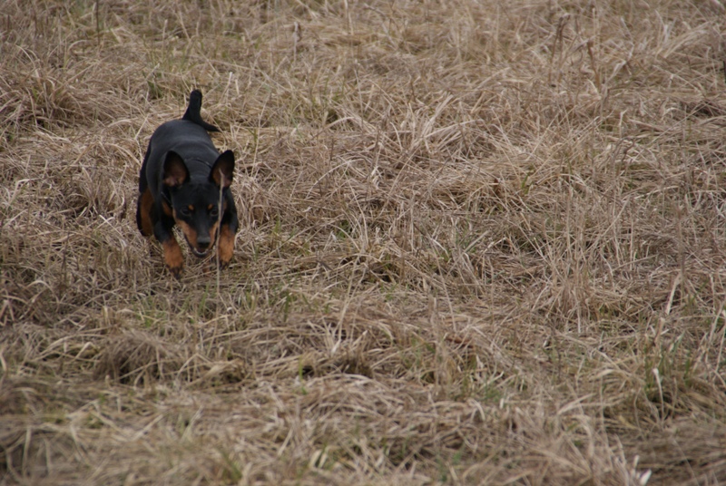 DSC08601.JPG.662cb953f9fc13b9c0cbee8644f