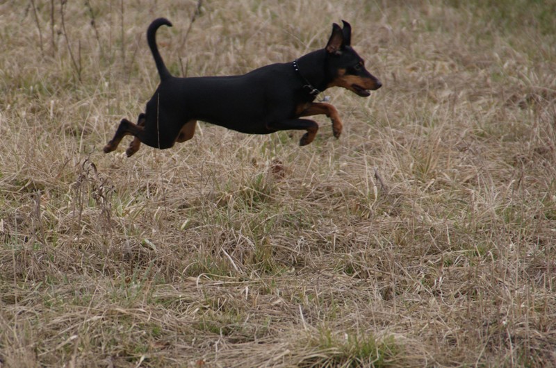 DSC08602.JPG.afb40d70e642314784d348b7958