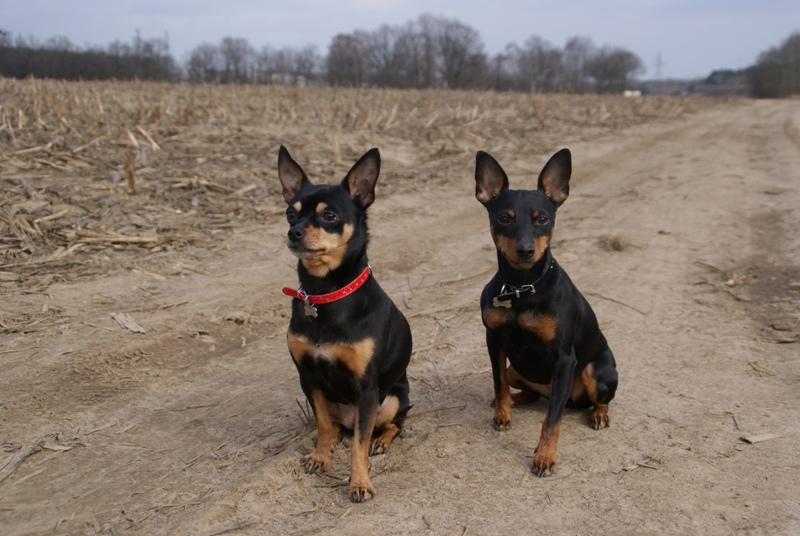 DSC08612.JPG.c15cc4e80e78c81f5a92f3db159