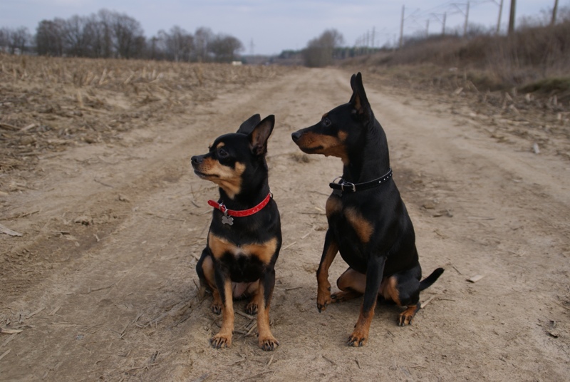 DSC08613.JPG.b235582dcb3cc2caa418e0d4abb