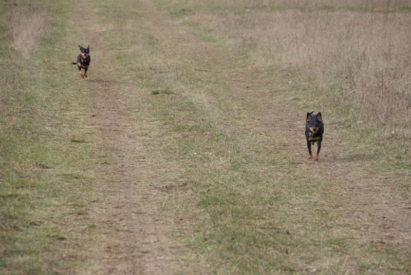 DSC08624.JPG.9132b5e06762a666cb2d40fcb4f