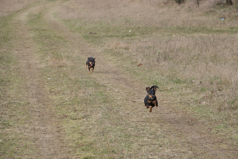 DSC08629.JPG.08c8ae37df16fbb1b3b07135ef2