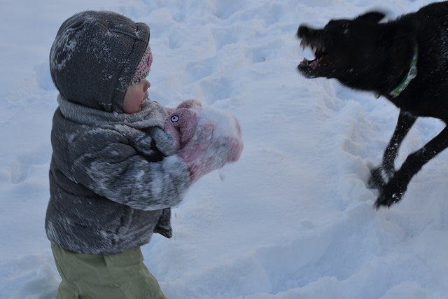 DSC_4313.JPG.a086cc581a9689a3d8c0a5d24b1