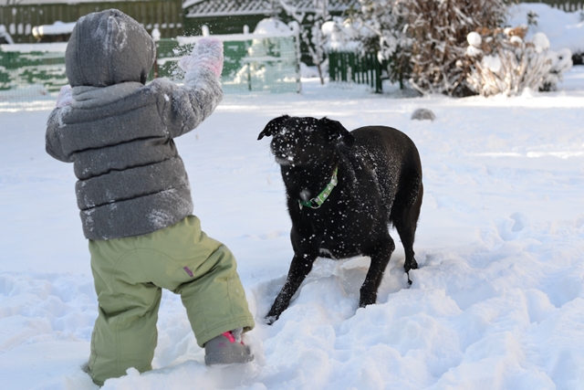 DSC_4316.JPG.3a1f93bbd2a95896df3c7d1a561