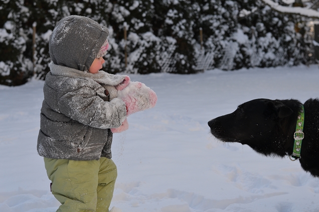 DSC_4317.JPG.43a0920cc5d282e82bdcfbcc01d