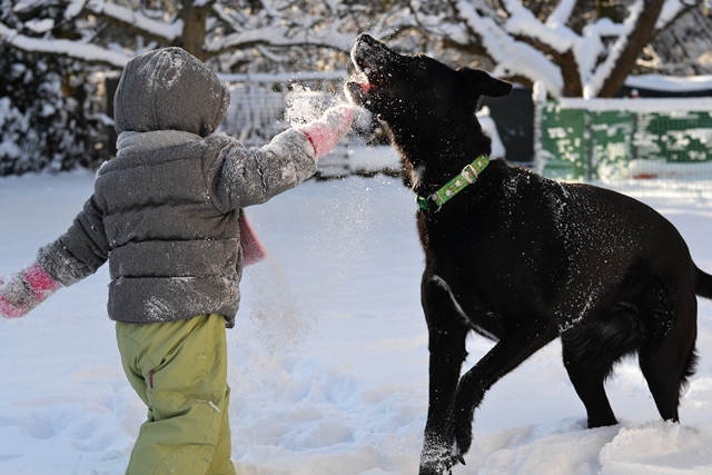 DSC_4318.JPG.3e9aab740b7e77a45006c983d2e