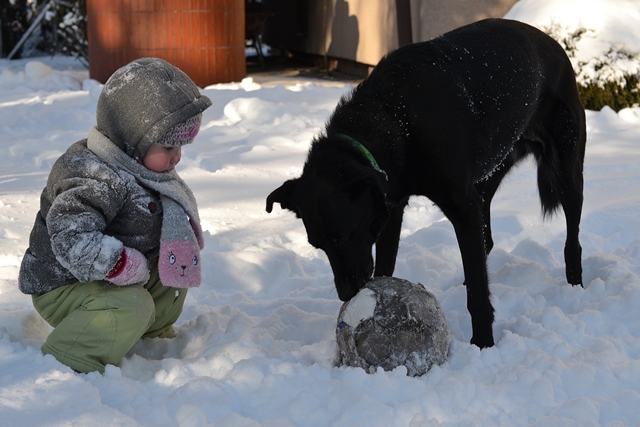 DSC_4329.JPG.cb2628c302586fcdf794421b36f