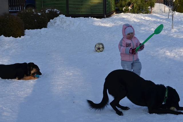 DSC_4402.JPG.34ce0843c728582575869e83e5c