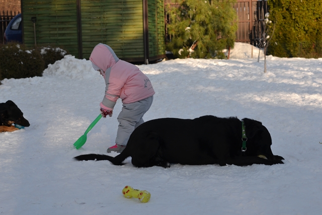 DSC_4404.JPG.f0a8e0f5bdbc08fc9d66eb86d98