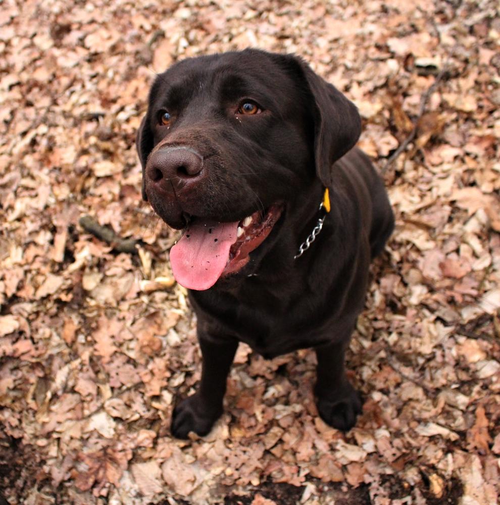 IMG_3252.thumb.JPG.0038110f81c5be0f53d0f