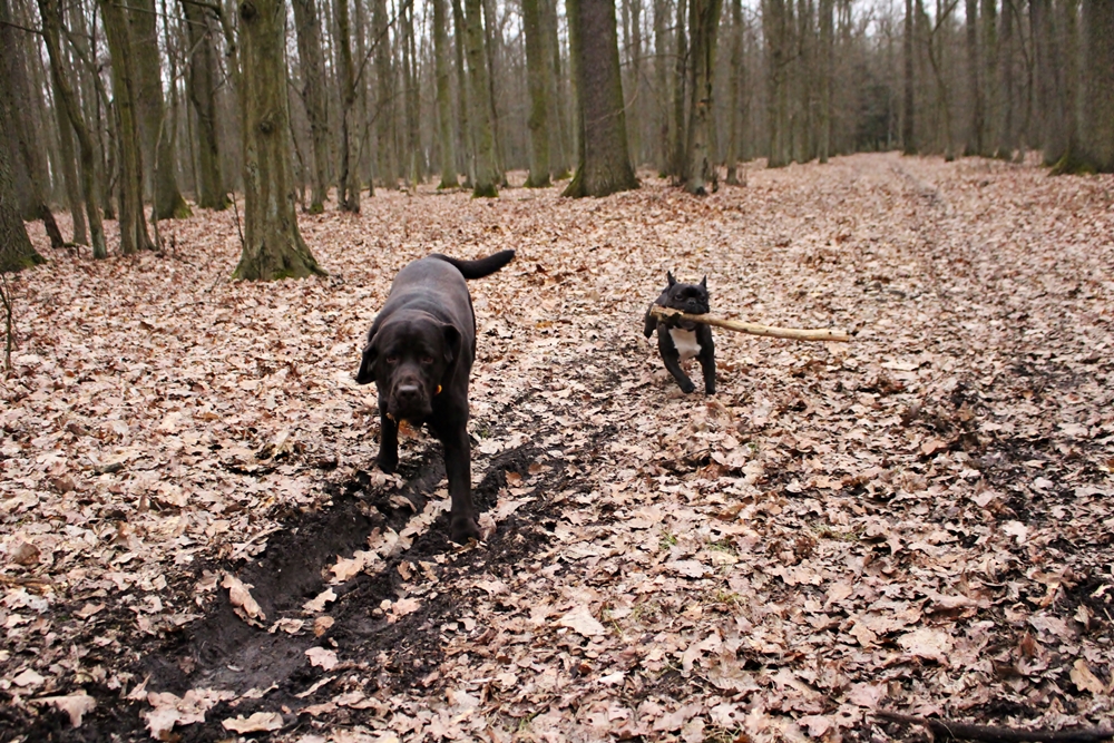 IMG_3283.JPG.1ffbf84e850c542aef191a81fa0