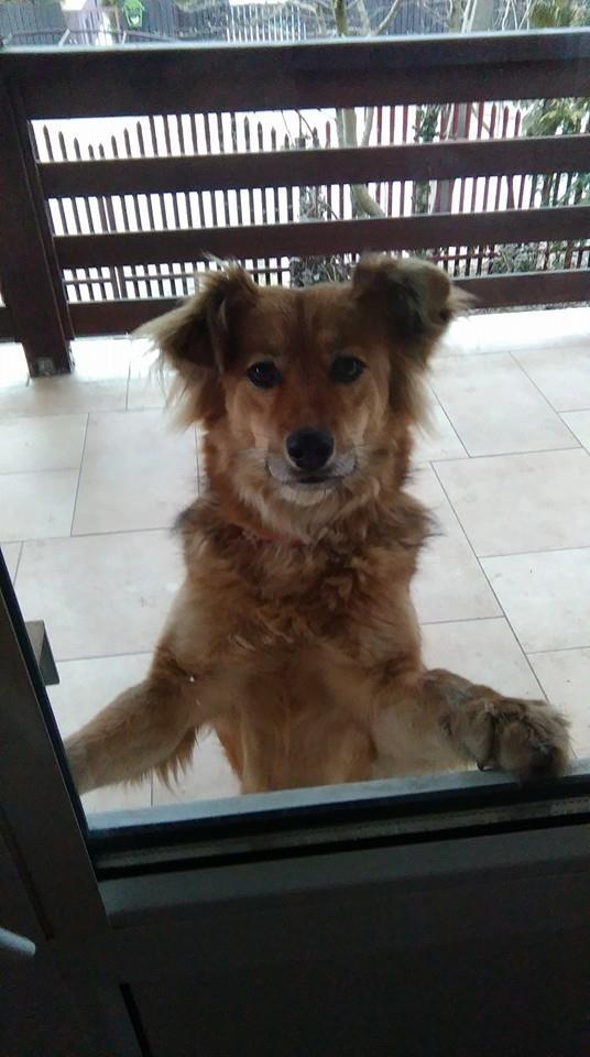 Molka.thumb.jpg.e8169ecaeba00e2d2d2592b0