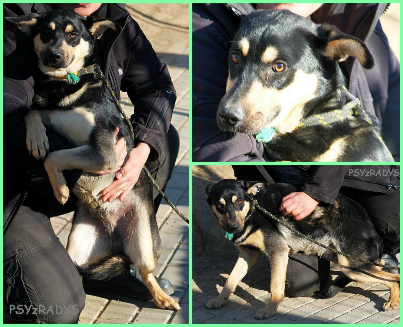 bilet.thumb.jpg.a3468604ee23724c409ba07d