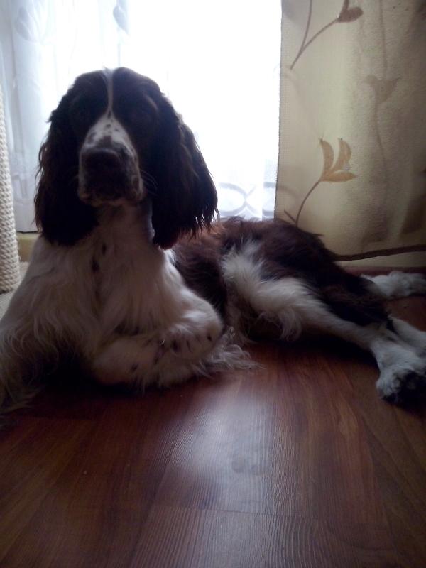 cCAM00219.thumb.jpg.5325c072579a8ad90ad0