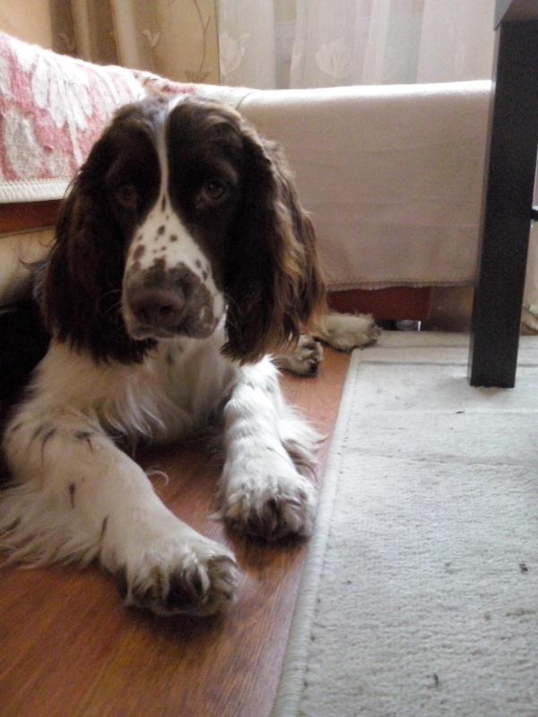 cCAM00280.thumb.jpg.af3d1bb353dfe1eda840