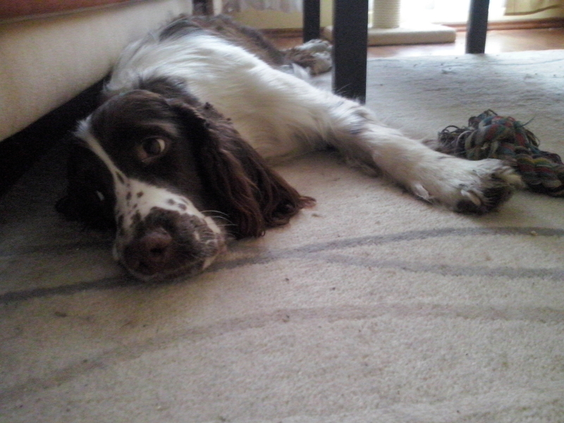 ccAM00217.jpg.f95666766aebccada3cc3b32a4