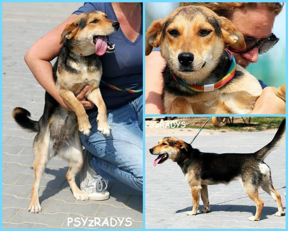 lilka.thumb.jpg.620fbe41442c2f4d3f22a407