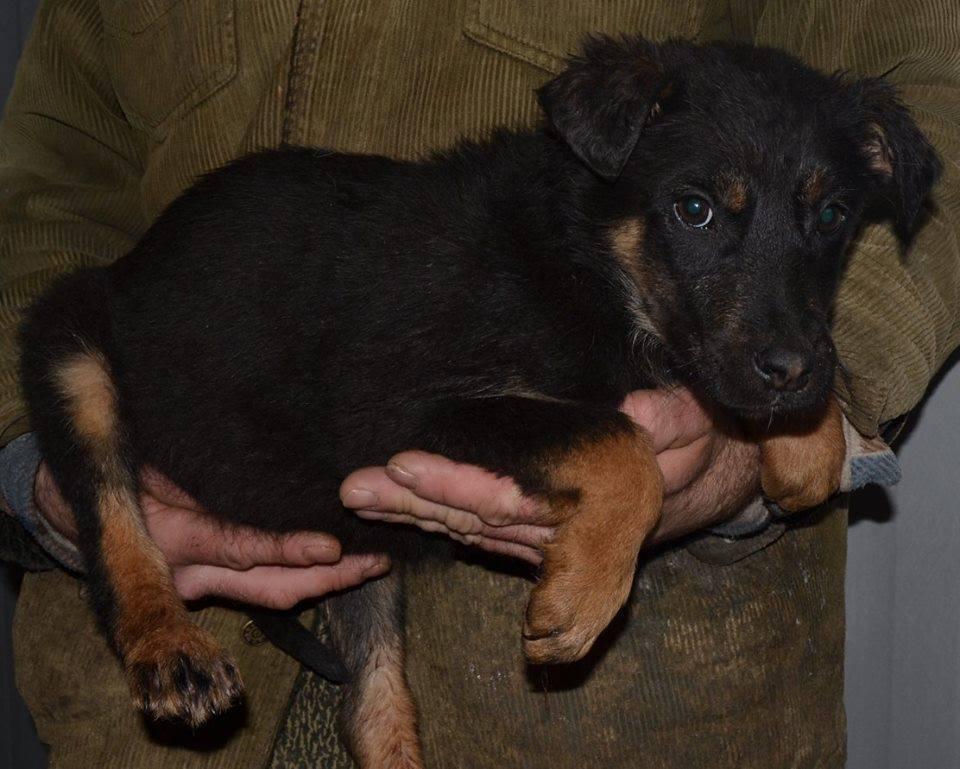 szcz2.thumb.jpg.84a162dbf6c8929b67870f5f