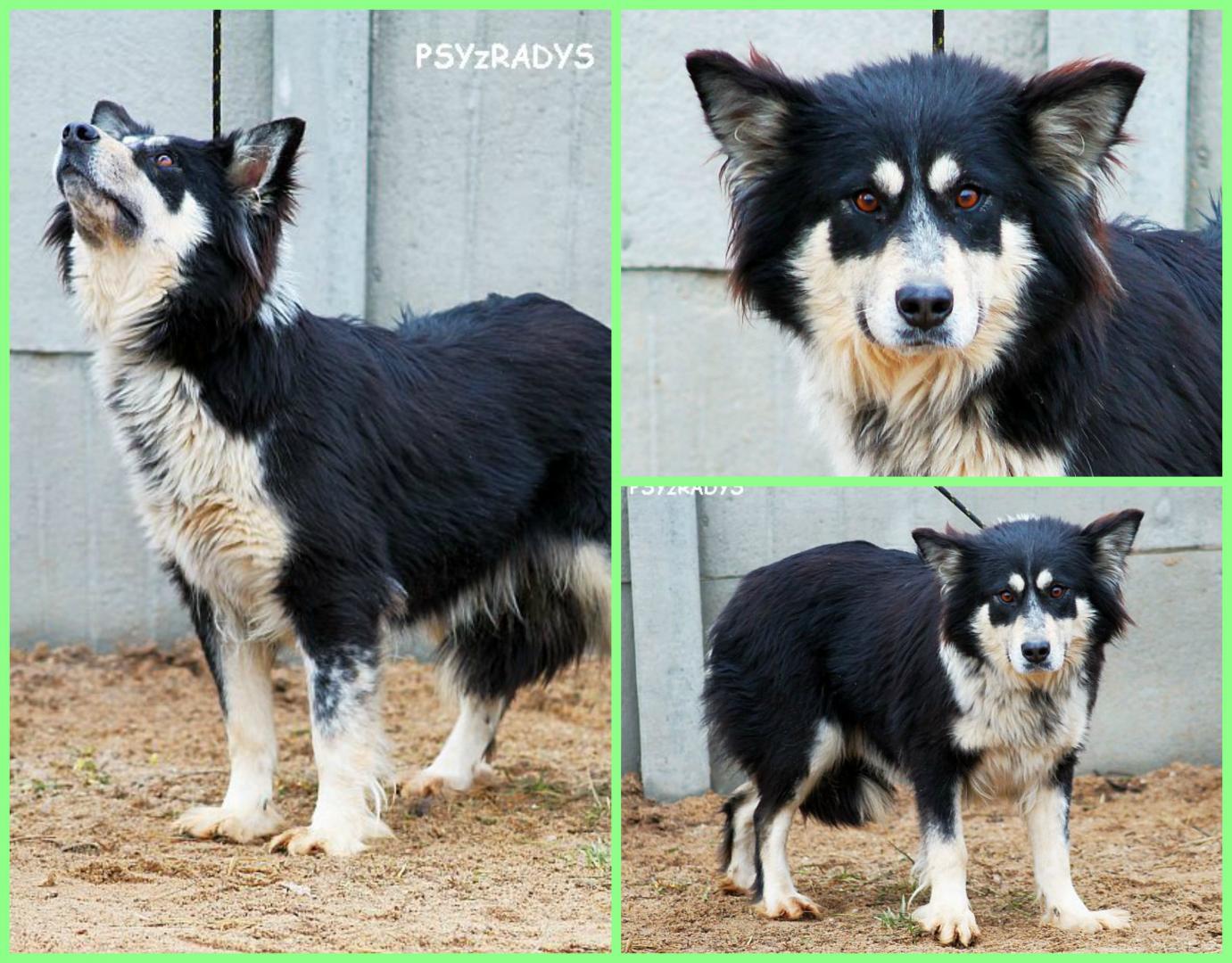 zara.thumb.jpg.bfa3387209ef188bd47db9cbd