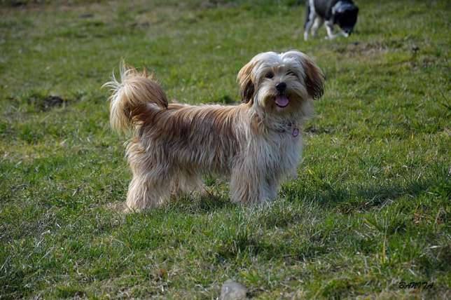 1.jpg.cdb730a1d5fac991a286ade7168e5b58.j