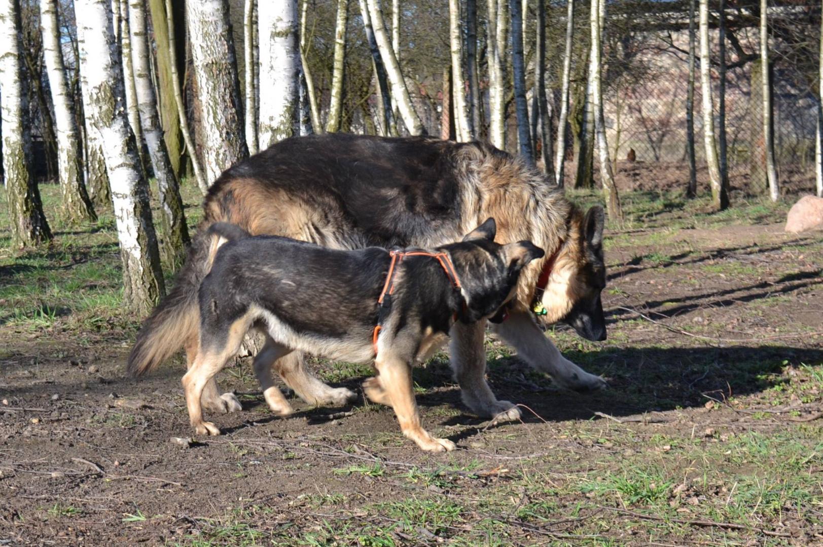 56ffc07588186_Bilet3dniwhotelu3.thumb.jp