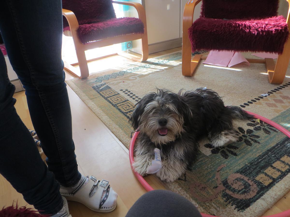 5702a1c5c8cc7_Obraz595.thumb.JPG.8a64342