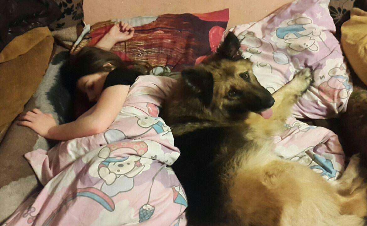 570fe63a3780d_V__9DB71.thumb.jpeg.e14266