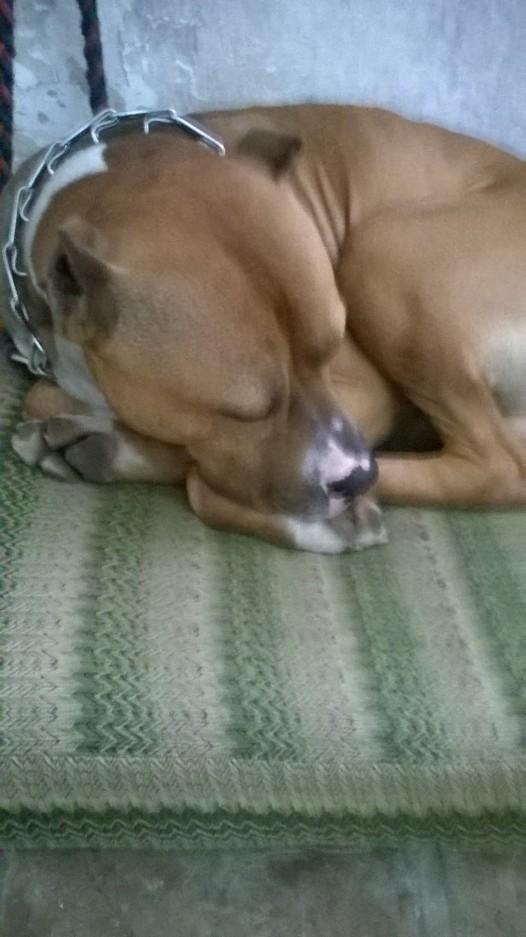 57176c0e1283d_V__C41B1.thumb.JPG.21f0d10