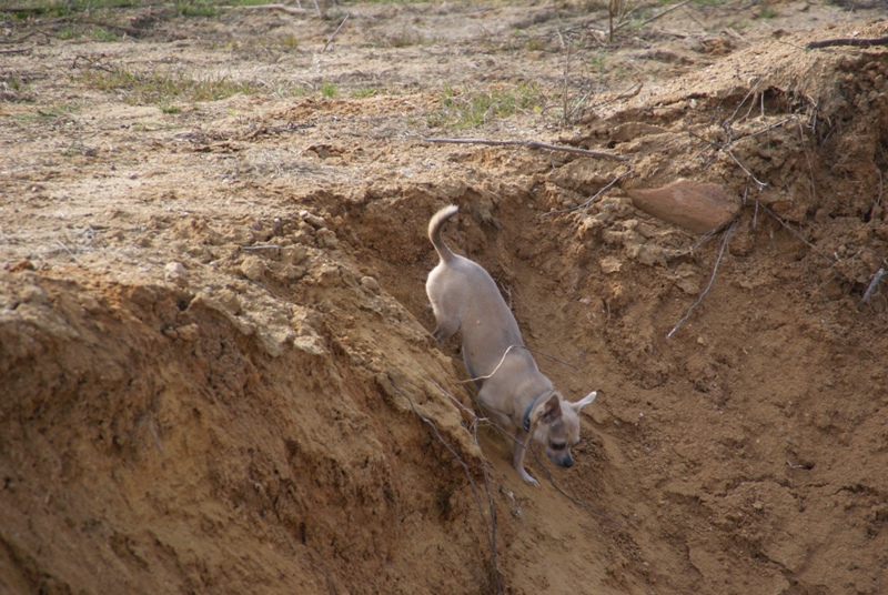 DSC08656.JPG.3f9ded11bb19b40570543746218