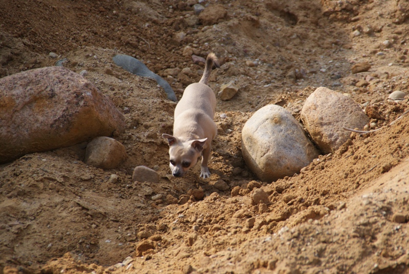 DSC08657.JPG.7d1e2c88110c646ebe7c21aa70a