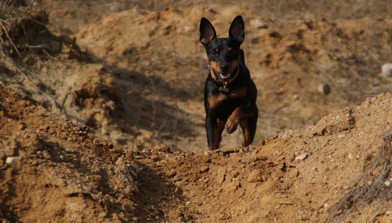 DSC08658.JPG.5b4c2e55208bc59918271d78e0b