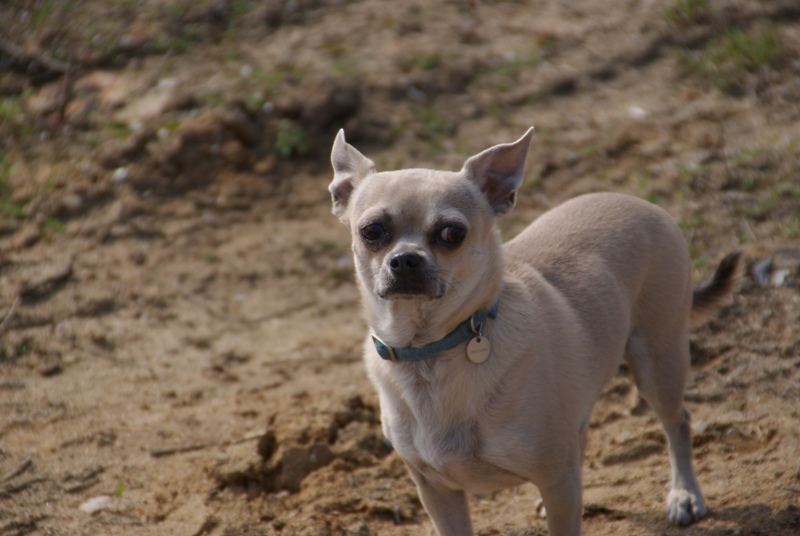 DSC08671.JPG.fe4fd78f75bacbddf580775cdae