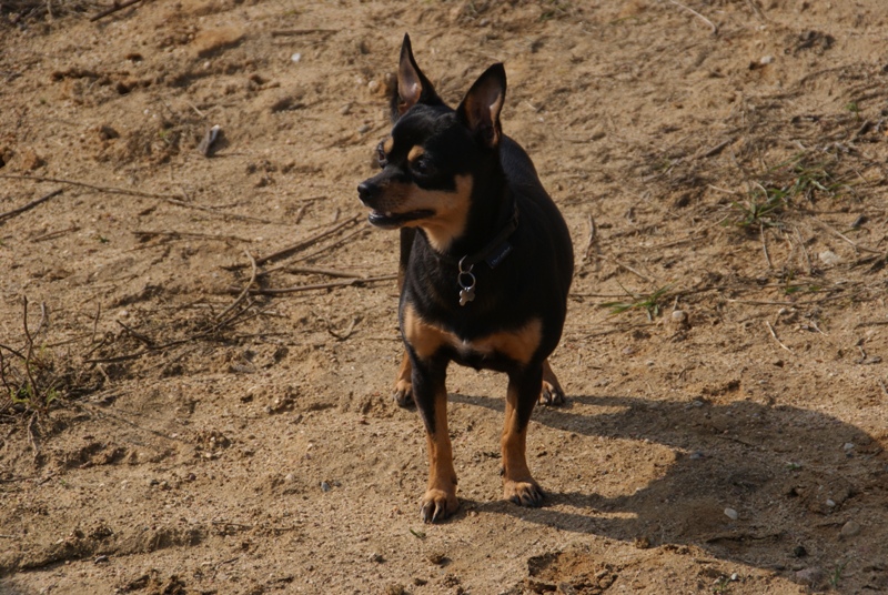 DSC08673.JPG.7cb15dc82cfe062eacaf2fdc20e