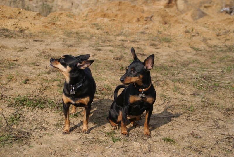 DSC08674.JPG.85a11c1afbd13973c3fb622f730