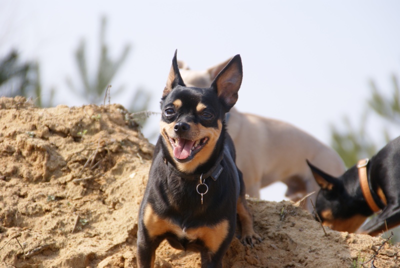 DSC08679.JPG.7fcf18da5b8cf7cd24c8116a2e6