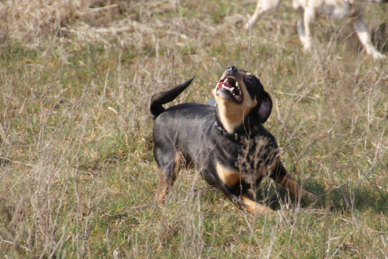 DSC08686.JPG.7b07172272894b2db75878eae1e