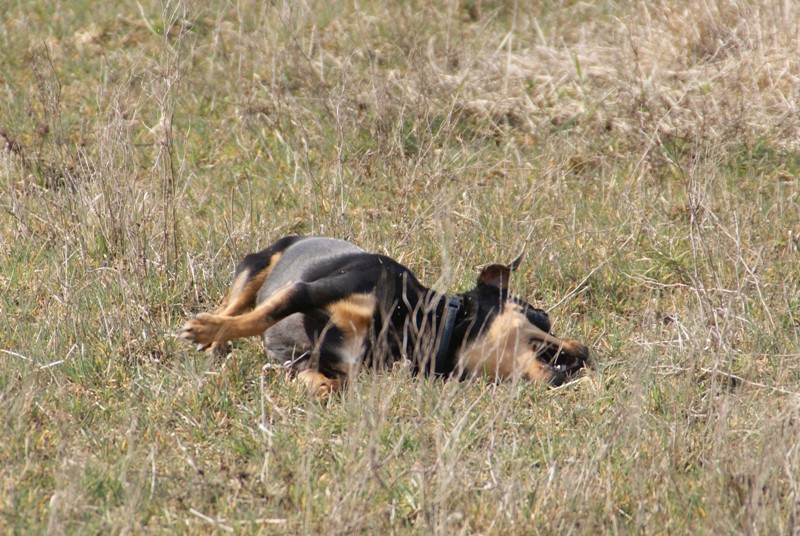 DSC08689.JPG.97402db9914974c192b916e8979